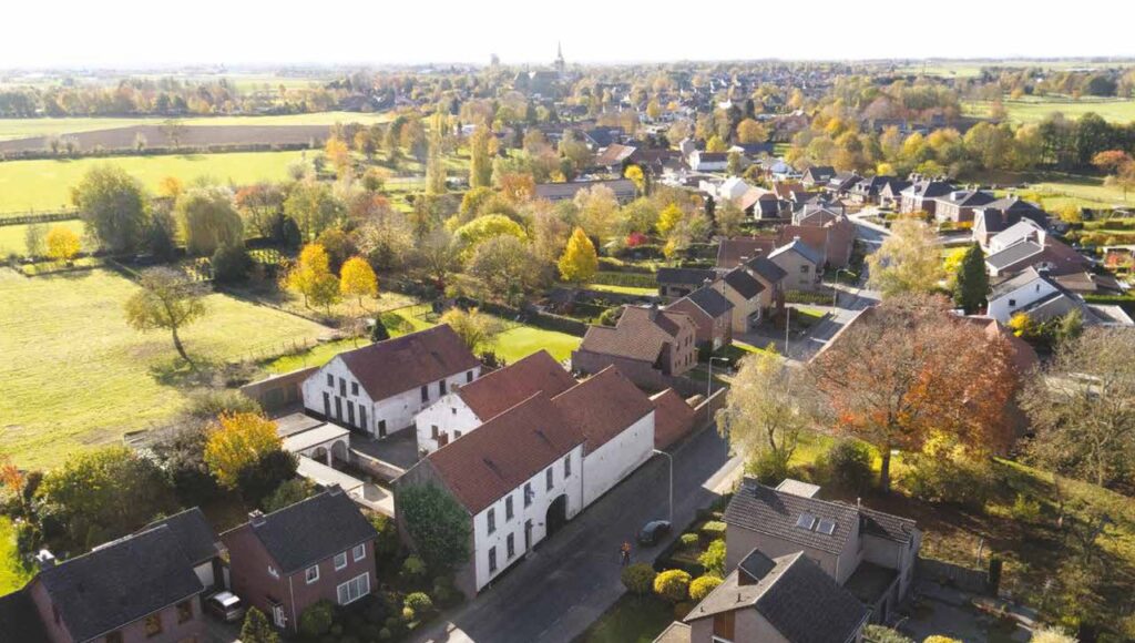 Schimmert 1