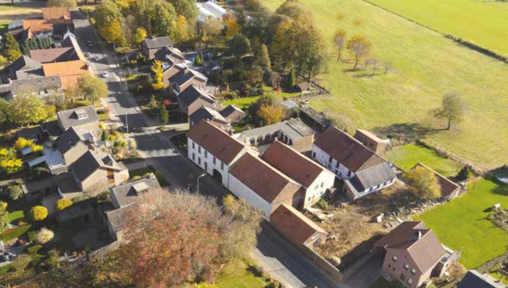 Schimmert 10