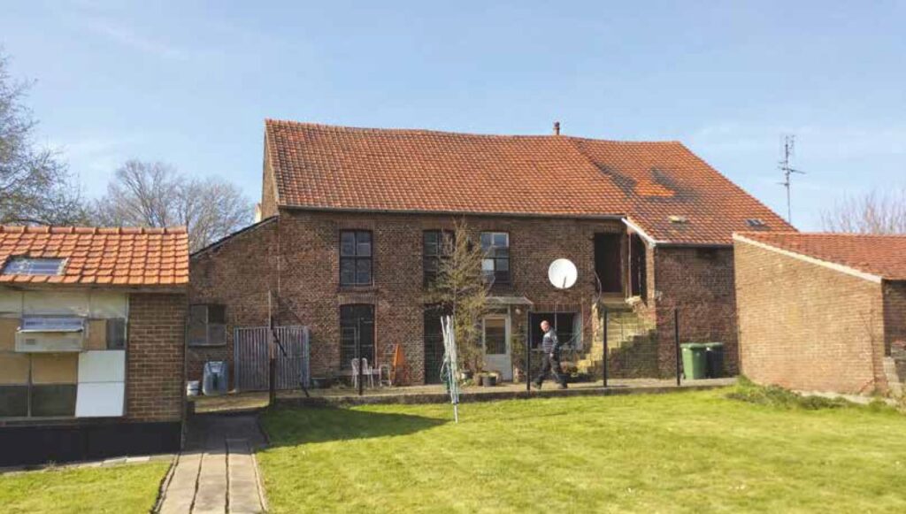 Schimmert 5
