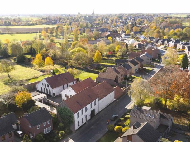 Schimmert 1