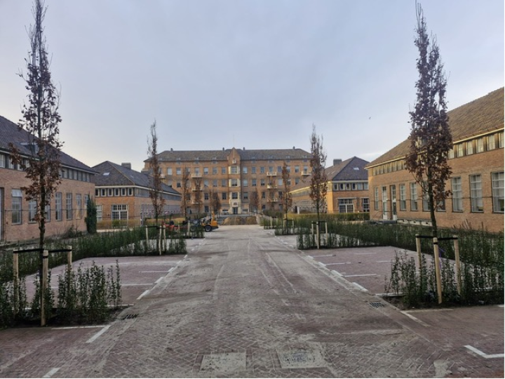 ZuideR openbare ruimte